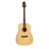 Ashton D20 NTM Dreadnought Size Acoustic Guitar In Natural Matte -Musical Instrument Store 505149 1