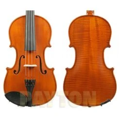 Gliga I Violin Outfit Antique Finish W/Violino 4/4 Full Size