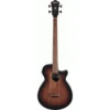 The Ibanez AEGB24E MHS Acoustic Guitar -Musical Instrument Store AEGB24EMHS 1.PNG