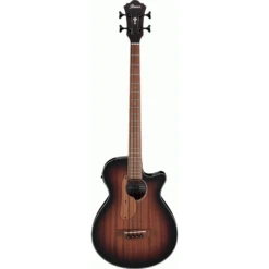The Ibanez AEGB24E MHS Acoustic Guitar