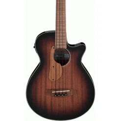 The Ibanez AEGB24E MHS Acoustic Guitar 9 The Ibanez AEGB24E MHS Acoustic Guitar -Musical Instrument Store AEGB24EMHS 4.PNG