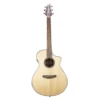 Breedlove ECO Collection Discovery Series Concert CE Sitka African Mahogany -Musical Instrument Store BL DSCCECERT.png