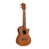 1880 Ukulele Co - EU100CCE 100 Series 100 Series. -Musical Instrument Store EU100CCE.png