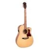 Gilman - GD10CENG Dreadnought Electric/acoustic. Natural Gloss. -Musical Instrument Store GD10CENG.jpg