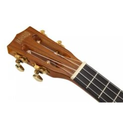 Mahalo MH3VNA - Tenor Ukulele - Vintage Natural -Musical Instrument Store MH3vna headstock.jpg
