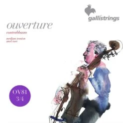 GALLI OV814 - 3/4 Double Bass E 4th String.