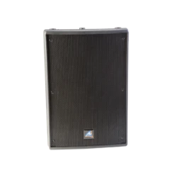 Australian Monitor XRS10ODV - 10 Inch Passive Speaker