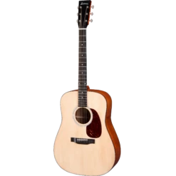 Eastman E1D Dreadnought Acoustic In Bag