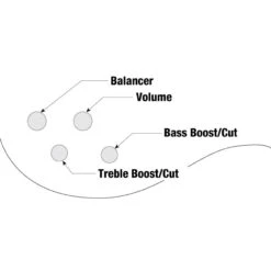 Ibanez RGB300 BKF Electric Bass In Black Flat -Musical Instrument Store eb control rgb