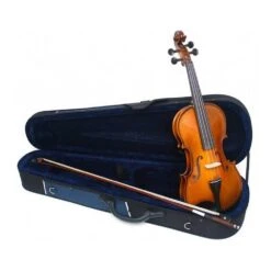 Gliga III 3/4 Size Violin Outfit With Pirastro Tonica Strings -Musical Instrument Store gliga iii 2