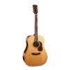 Cort Gold Series D6 Premium Acoustic Guitar -Musical Instrument Store goldd6