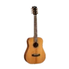 Cort Gold Mini Travel Acoustic Guitar 2 Cort Gold Mini Travel Acoustic Guitar -Musical Instrument Store goldminifullnewnew