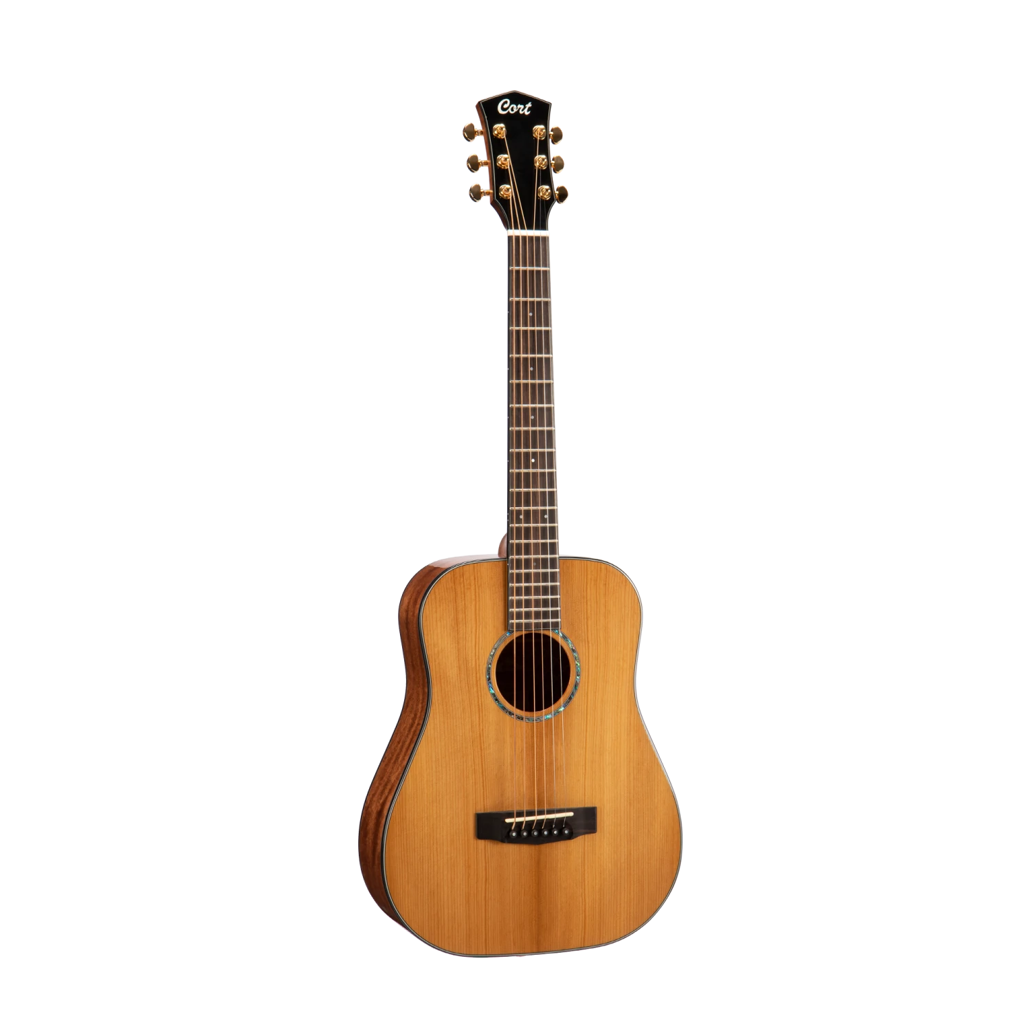 Cort Gold Mini Travel Acoustic Guitar 3 Cort Gold Mini Travel Acoustic Guitar