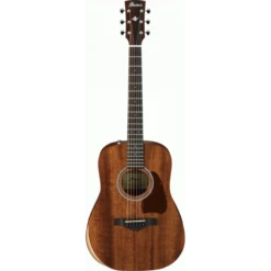 Ibanez AW54JR OPN Acoustic Guitar In Padded Bag