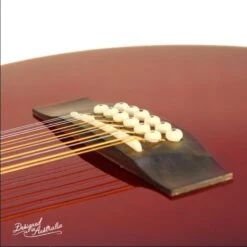 Ashton SL29/12CEQ 12-String Acoustic Electric Guitar - Tobacco Sunburst -Musical Instrument Store image 7229