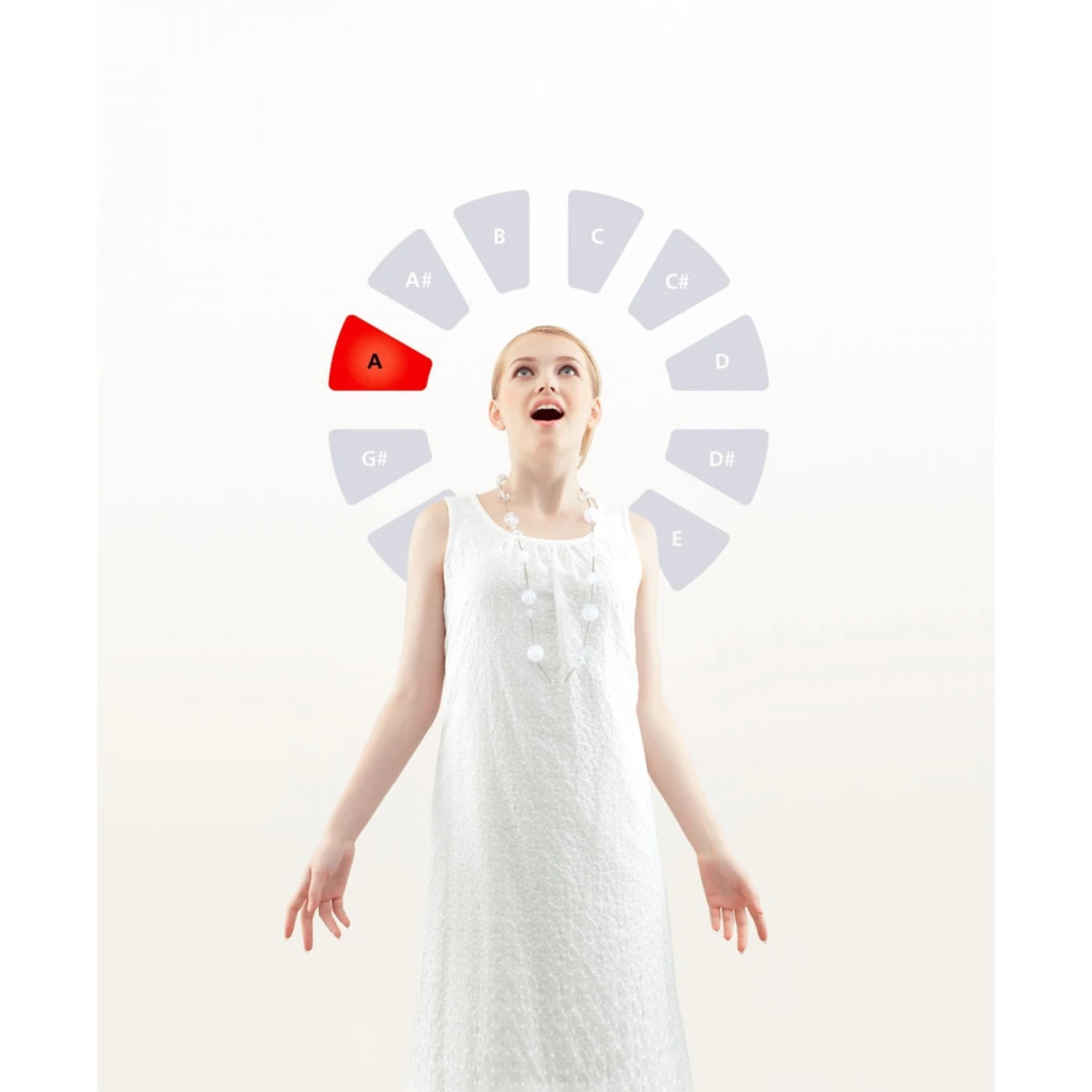 Roland VT-12 Vocal Trainer 9 Roland VT-12 Vocal Trainer - Image 7