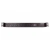 Jackson - 6 Way, 1 Rack Space, Overload Protected Power Rail -Musical Instrument Store jackson rackmount powerboard 6 outlets 2