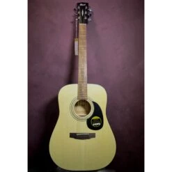 Cort CAP810 Trailblazer Guitar Pack + Digital Tuner -Musical Instrument Store mg 0458 1