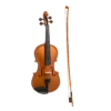 Stentor Harlequin Series 3/4 Size Violin In Metallic Bronze