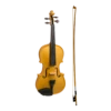 Stentor Harlequin Series 1/2 Half Size Violin In Metallic Gold -Musical Instrument Store s2444gd 2 1