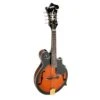Bryden F Style Mandolin In Sunburst -Musical Instrument Store sma70