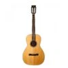 Tasman TA100P Parlour Acoustic Guitar With Case -Musical Instrument Store ta100p 1