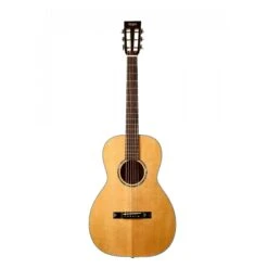 Tasman TA100P Parlour Acoustic Guitar With Case