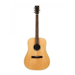 Tasman TA200-E Dreadnought Acoustic Electric With Case