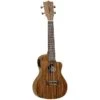 Tanglewood TWT12E Tiare Concert Ukelele With Pickup