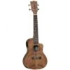 Tanglewood TWT13E Tiare Concert Ukelele With Pickup