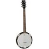Tanglewood TWB18-M Union Six String Banjo -Musical Instrument Store twb18 m6 53990