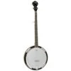 Tanglewood TWB18 M5 5 String Banjo -Musical Instrument Store twbm5