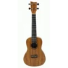 Ashton UKE500CACA Concert Ukulele In Acacia -Musical Instrument Store uke500caca 1