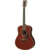Yamaha LL16 ARE Acoustic Electric Dark Tinted 2 Yamaha LL16 ARE Acoustic Electric Dark Tinted -Musical Instrument Store untitled 1 copy
